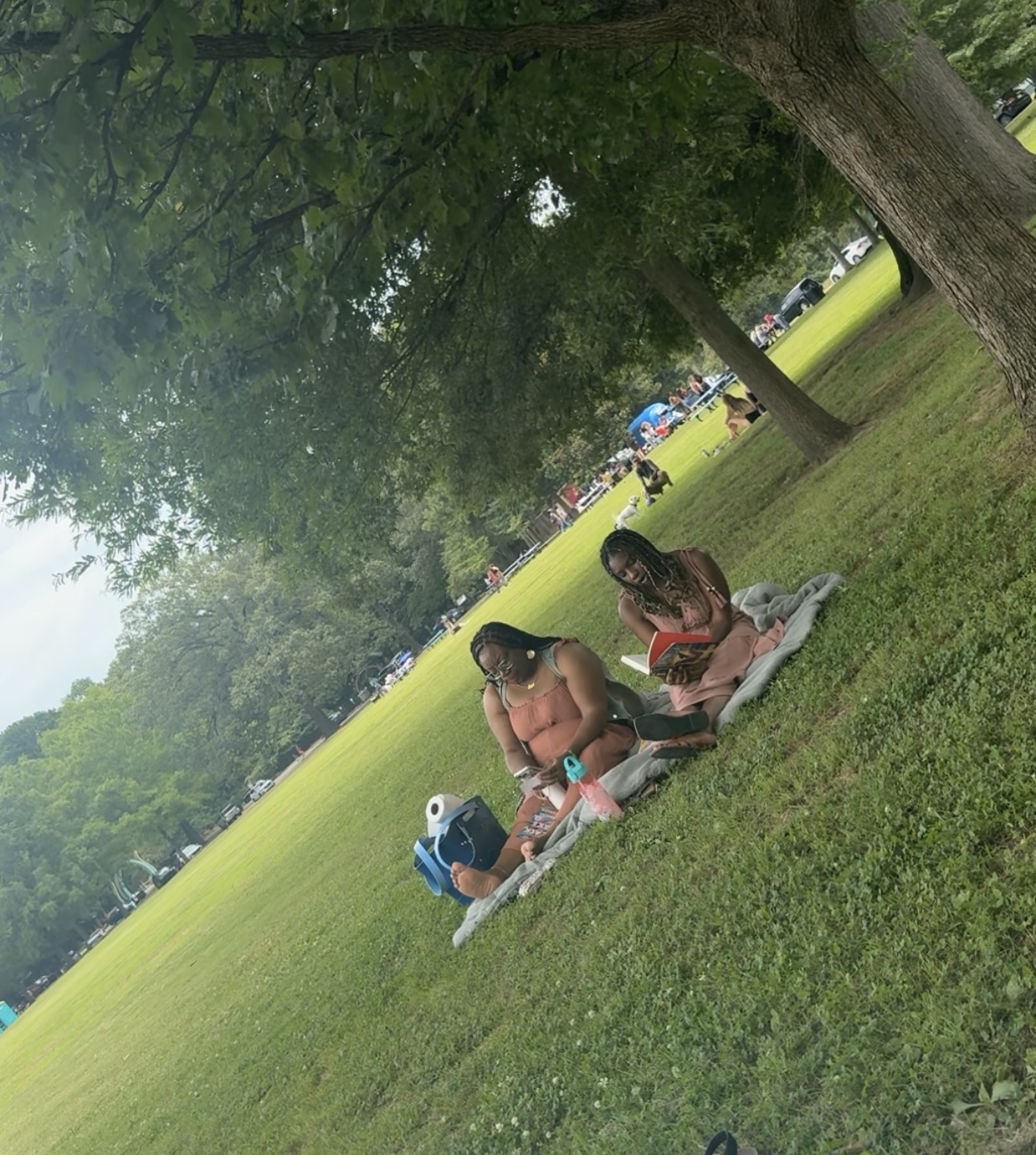 Books and Babes members reading together under a tree